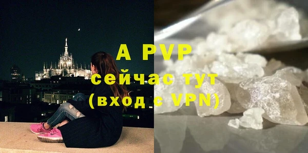a pvp Новодвинск