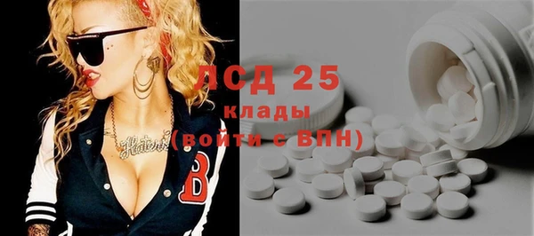 PSILOCYBIN Новозыбков
