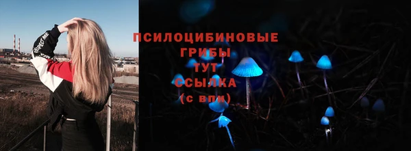 a pvp Новодвинск