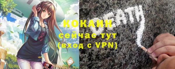 a pvp Новодвинск