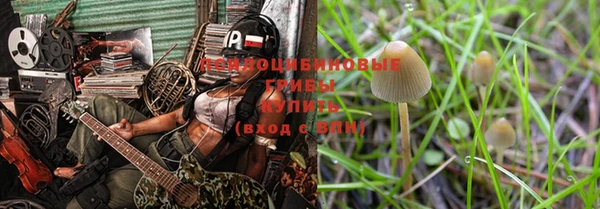 скорость Новокубанск