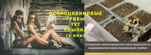 a pvp Новодвинск