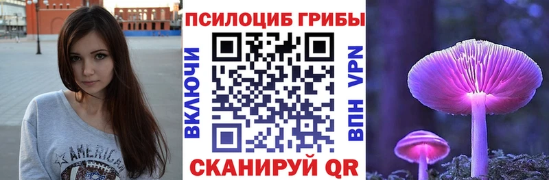 Псилоцибиновые грибы мицелий  площадка телеграм  Сорск 